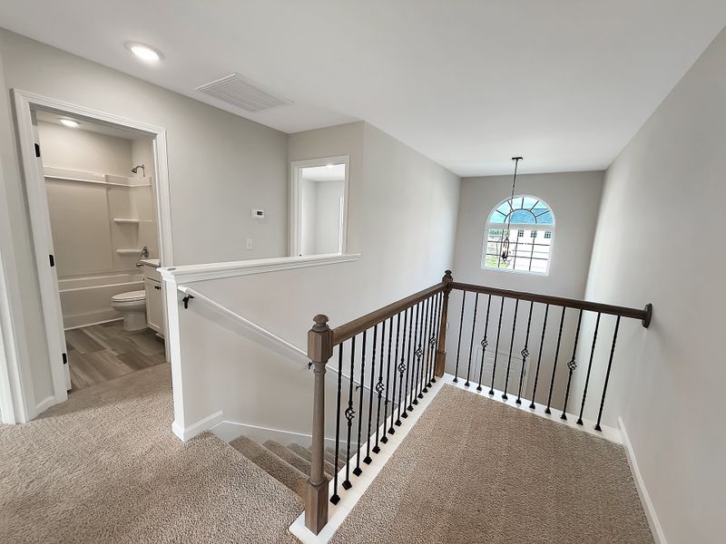 Spacious, unfurnished interior of a new home in Tibet Road at Sassafras, Allenhurst (Image 15).