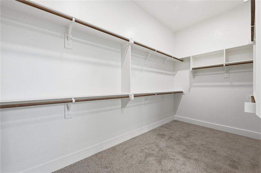 Walk in closet featuring carpet flooring Walk in closet featuring carpet flooring