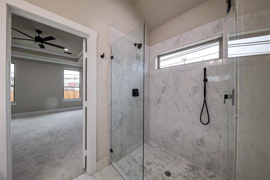 Bathroom featuring a healthy amount of sunlight, ornamental molding, a raised ceiling, and a tile shower