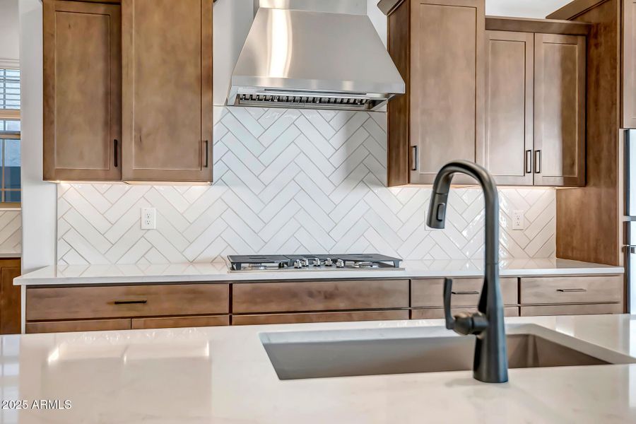 Palo Verde Lot 302 (20)