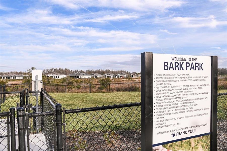 Image 67 of a home in Esplanade at Wiregrass Ranch.