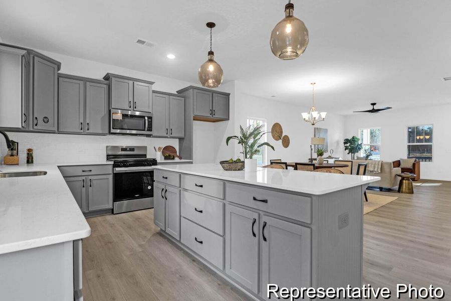 Furnished interior view inside a new home in , Ravenel (Image 3).