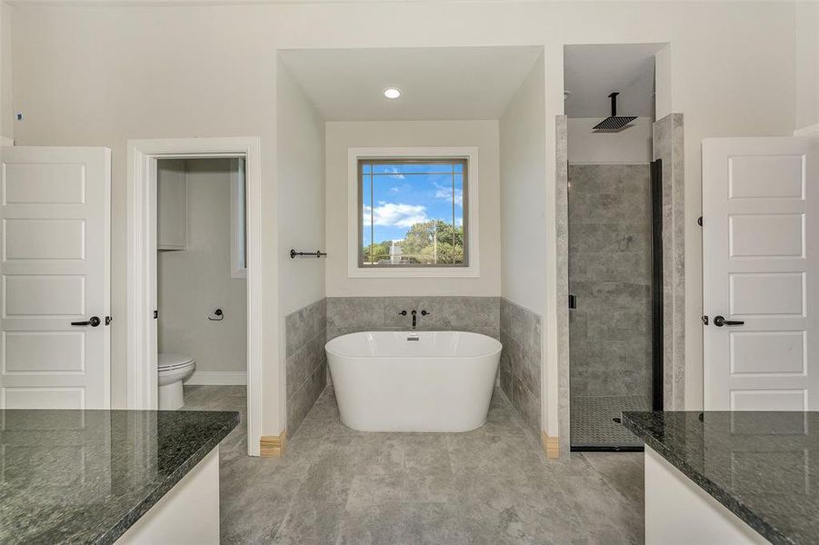 Full bathroom featuring vanity, toilet, and separate shower and tub