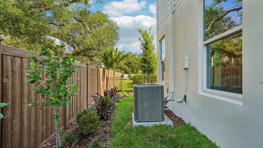 The Fenced Backyard