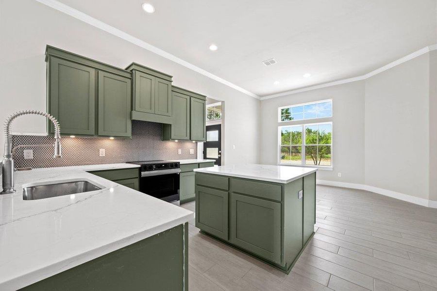 Kitchen with green cabinets, black / electric stove, a sink, crown molding, and decorative backsplash Kitchen with green cabinets, black / electric stove, a sink, crown molding, and decorative backsplash