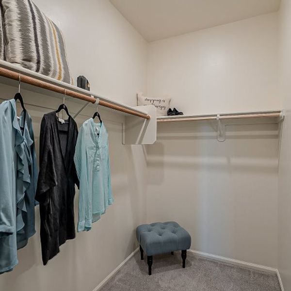 Wayfarer Owner's Suite Walk In Closet