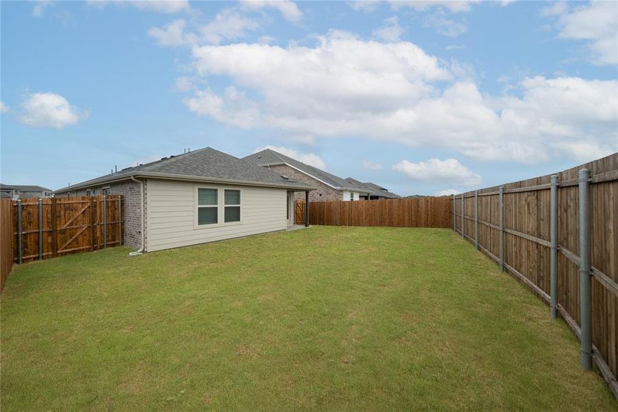 Backyard