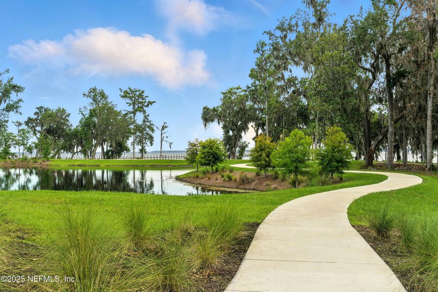 Natural landscape and outdoor views near  in St. Johns (Image 55).