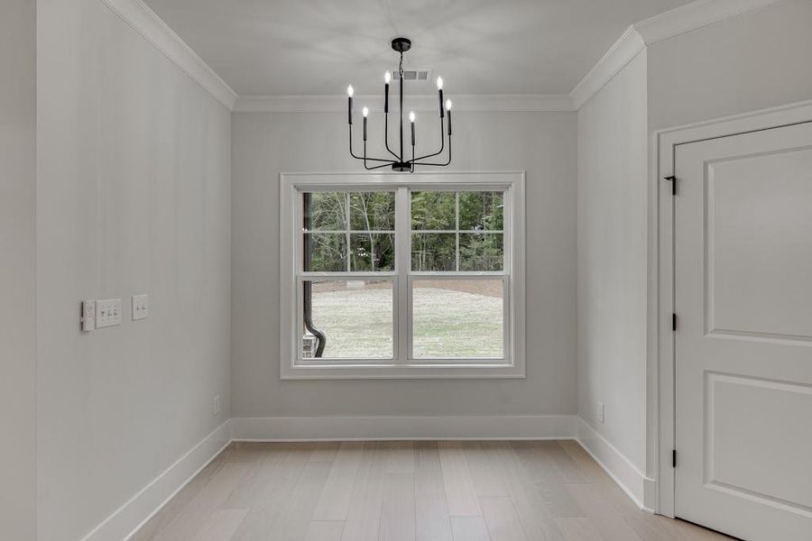 Spacious, unfurnished interior of a new home in , Pendergrass (Image 28).