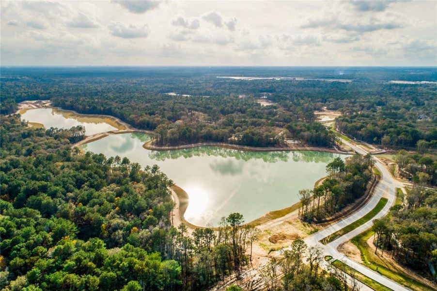 Natural landscape and outdoor views near The Highlands: Pinnacle Collection in Porter Heights (Image 39). Natural landscape and outdoor views near The Highlands: Pinnacle Collection in Porter Heights (Image 39).