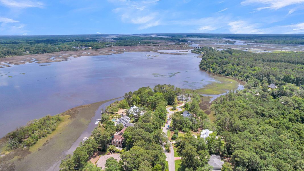 Natural landscape and outdoor views near  in Ravenel (Image 84).