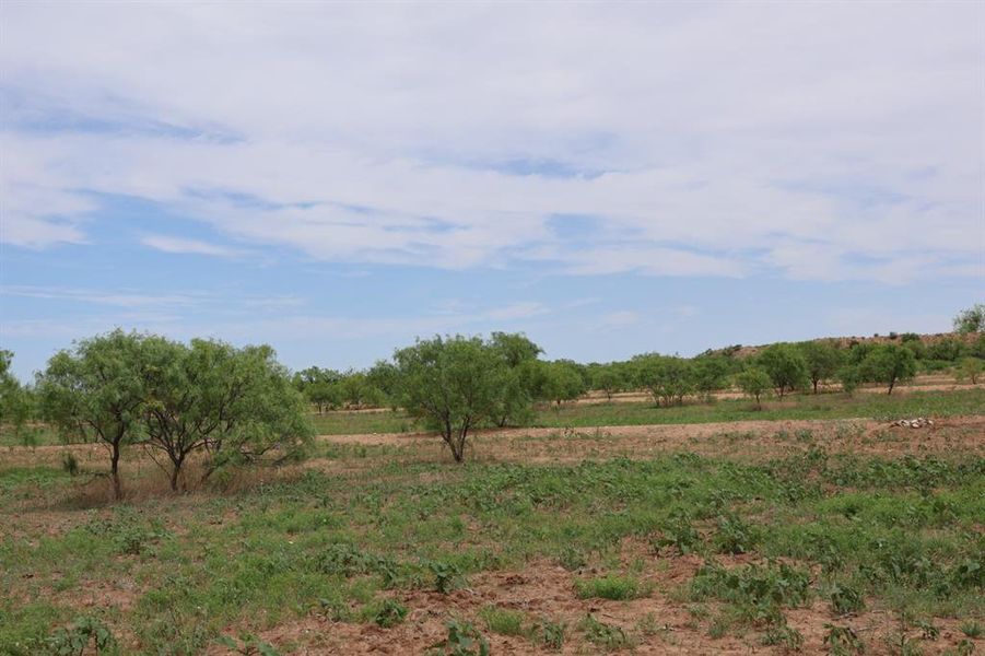 Natural landscape and outdoor views near  in Merkel (Image 8).