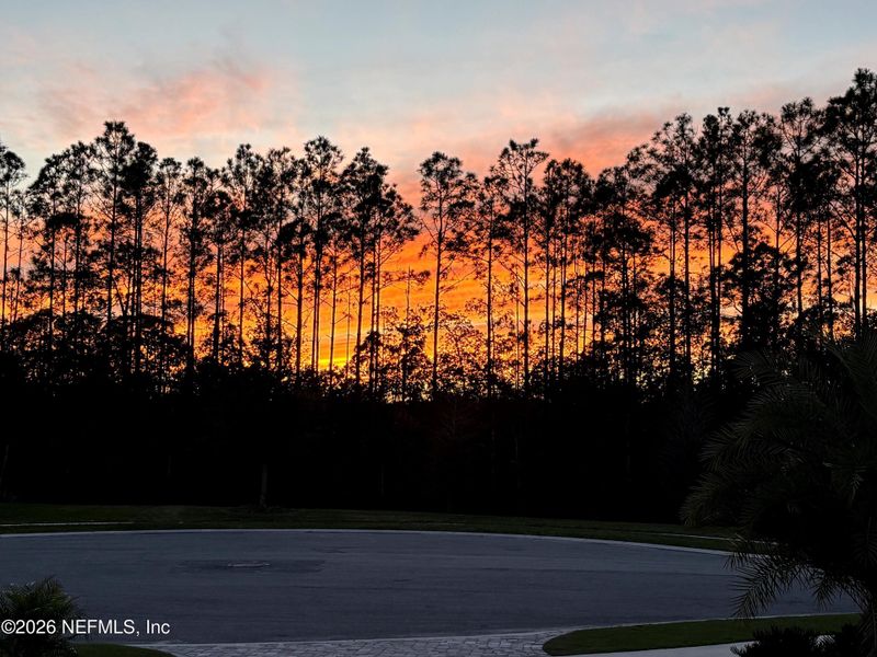 Natural landscape and outdoor views near Nocatee in Ponte Vedra (Image 40).