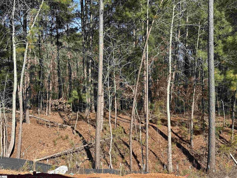 Natural landscape and outdoor views near Shiloh Trail in Wellford (Image 31).