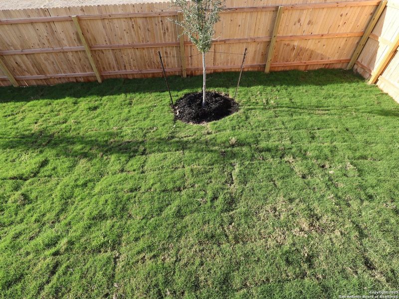 Exterior details and patio area of a home in Paloma Park, Converse (Image 3).