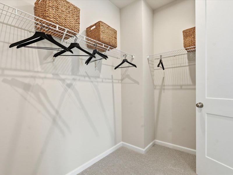 Spacious, unfurnished interior of a new home in Bellflower, Charlotte (Image 23).