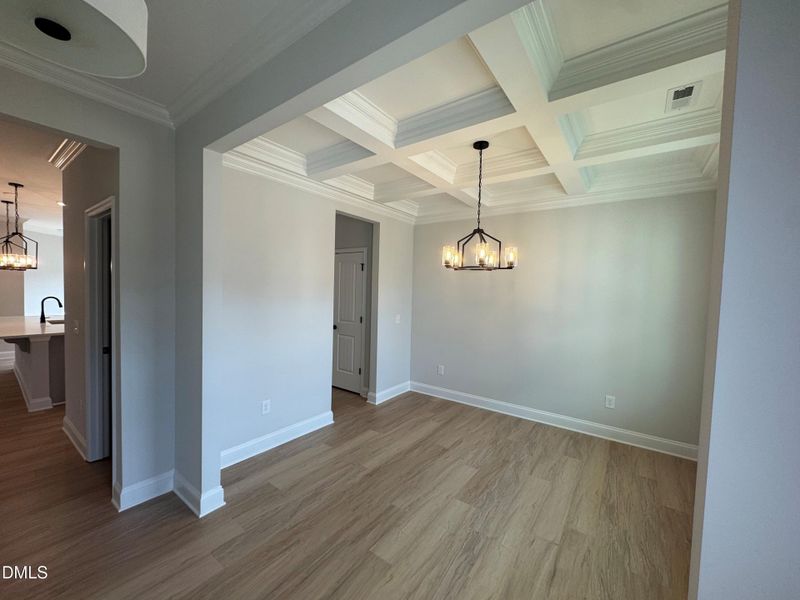 43 back yard 43 back yard