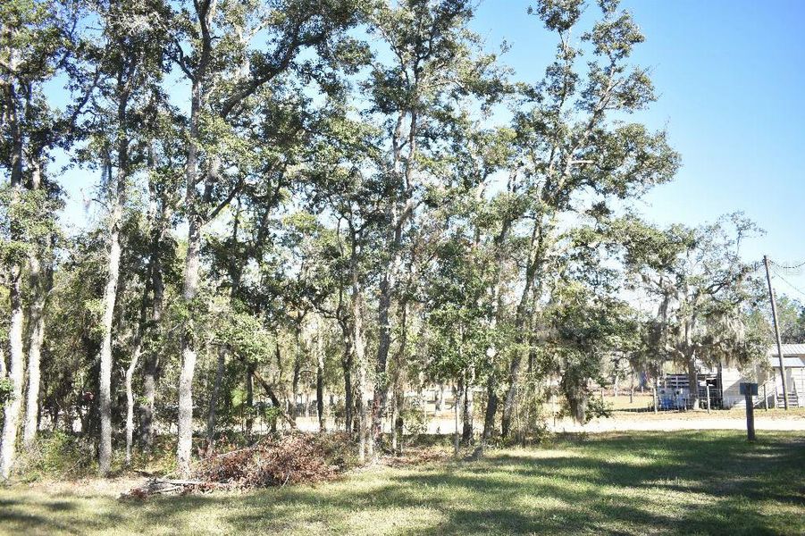 Natural landscape and outdoor views near  in Williston (Image 56).