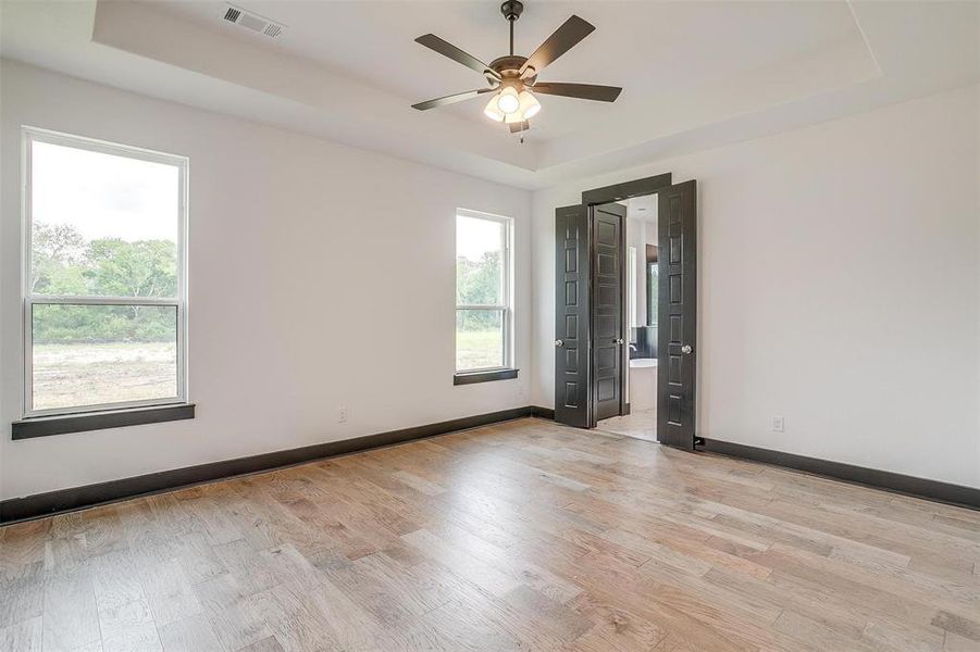 Unfurnished room featuring a healthy amount of sunlight, light hardwood / wood-style flooring, and a raised ceiling