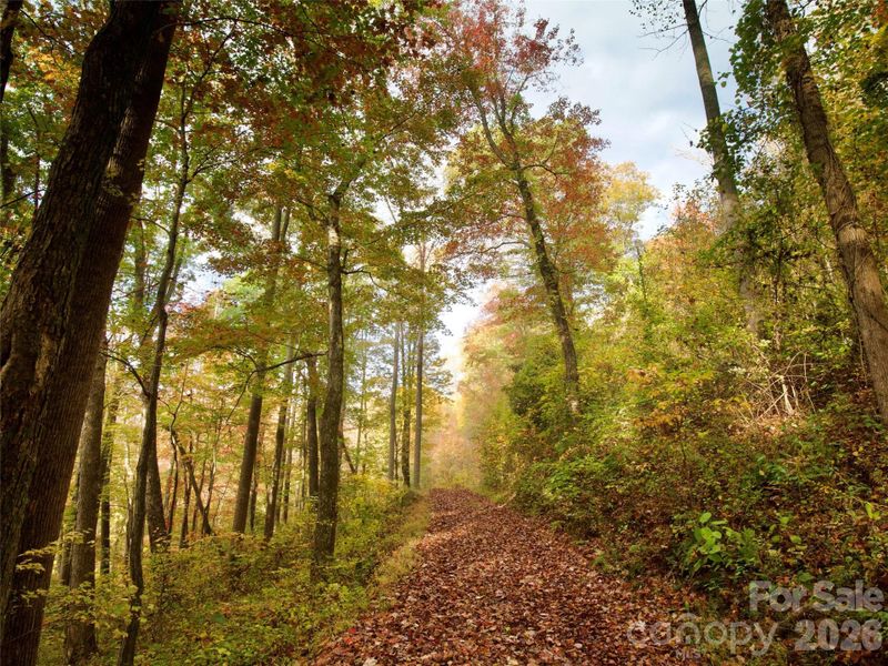 Natural landscape and outdoor views near in Arden (Image 20). Natural landscape and outdoor views near in Arden (Image 20).