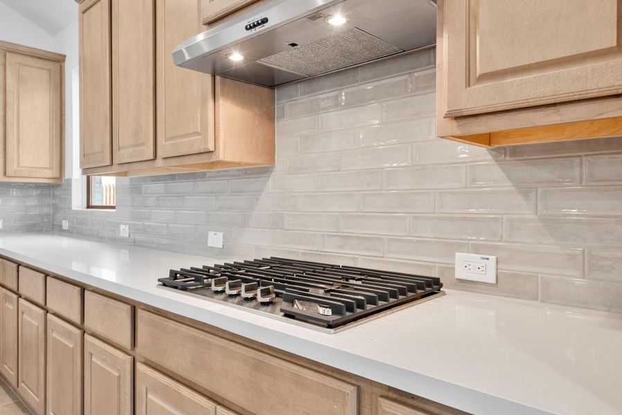 Close-up of interior finishes inside a home in COLTON, Montgomery (Image 14).