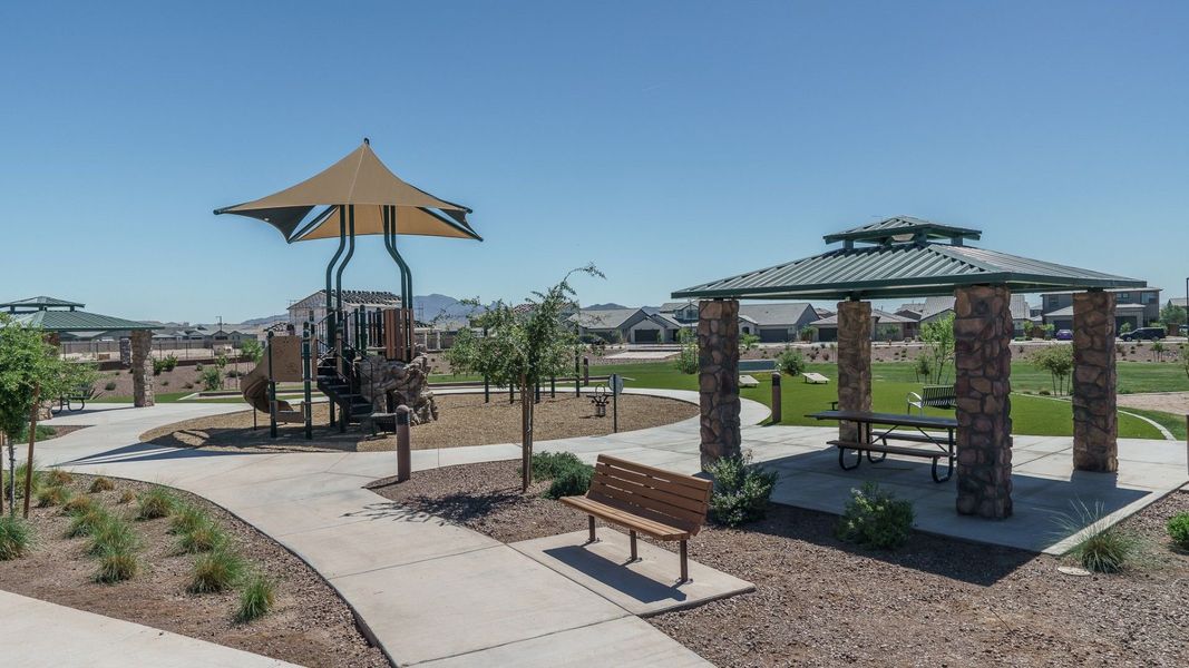 Community amenities in The Grove at El Cidro, Goodyear (Image 25).