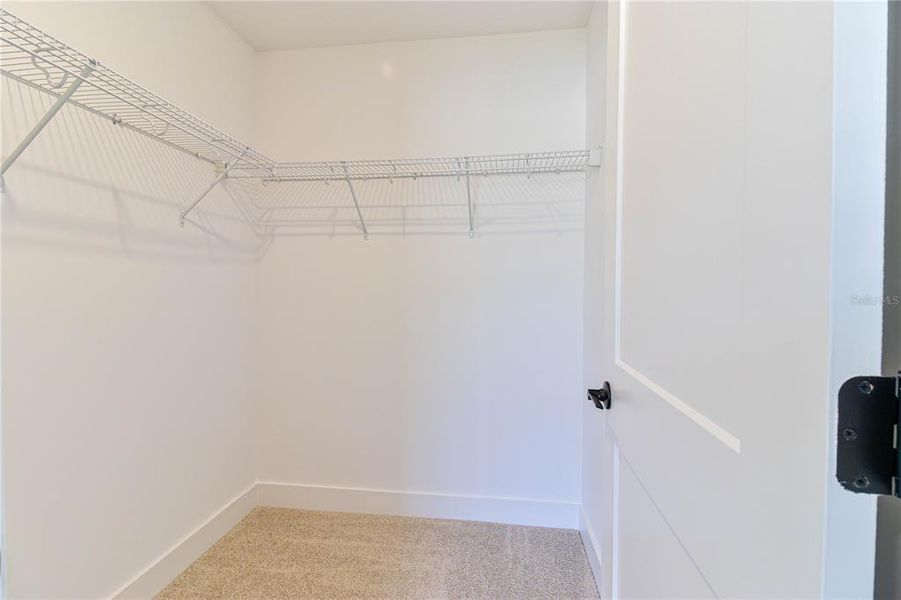 Spacious, unfurnished interior of a new home in Briarwood, Alachua (Image 34).