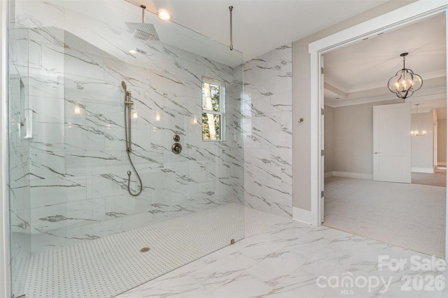 Primary Bath Curbless Walk-in Shower