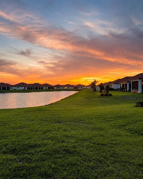 Natural landscape and outdoor views near  in Wimauma (Image 41).
