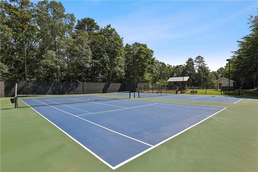 Community amenities in , Dawsonville (Image 49).