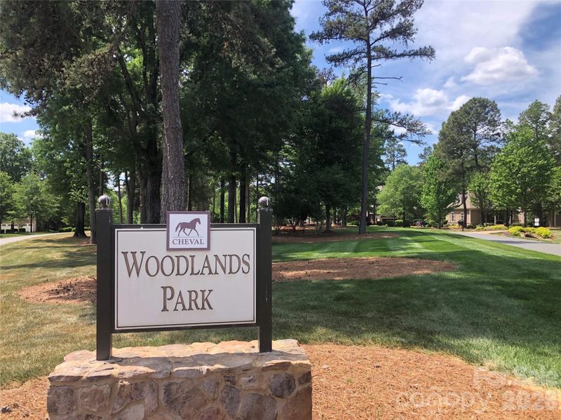 Steps to Woodlands park.