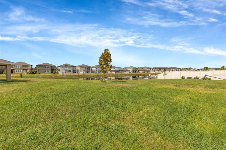 Natural landscape and outdoor views near in Wimauma (Image 47). Natural landscape and outdoor views near in Wimauma (Image 47).