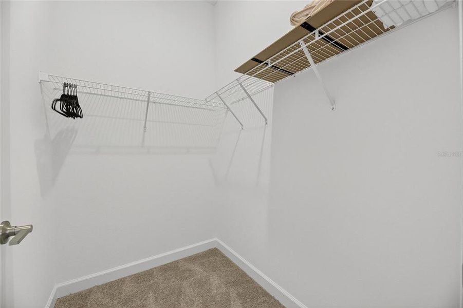 Spacious, unfurnished interior of a new home in , Wimauma (Image 64).