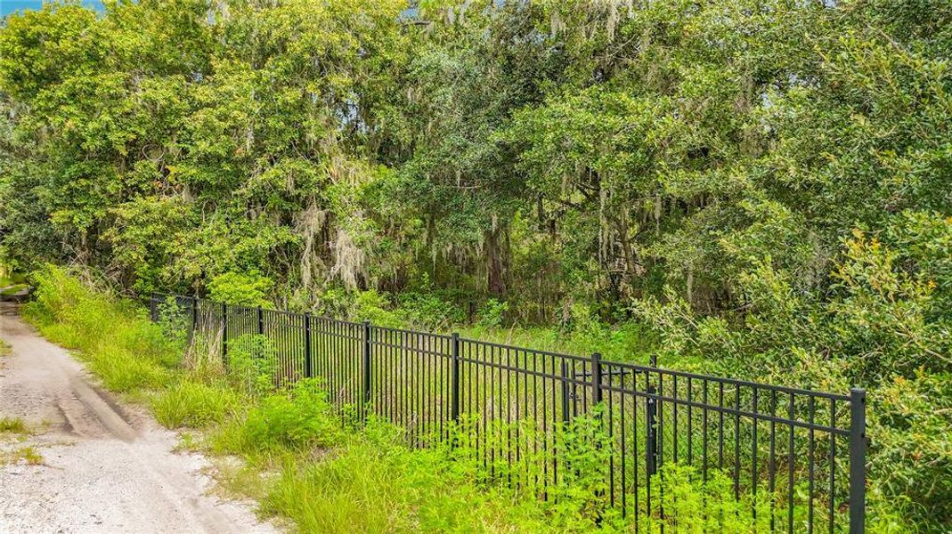 Natural landscape and outdoor views near  in Lithia (Image 30).