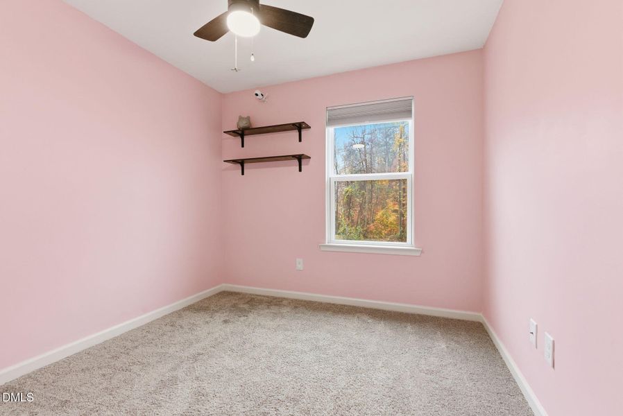 449 Hacksaw Trail-41