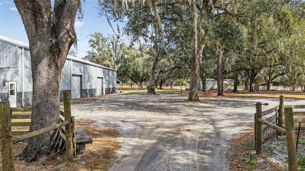 Natural landscape and outdoor views near in Bushnell (Image 52). Natural landscape and outdoor views near in Bushnell (Image 52).