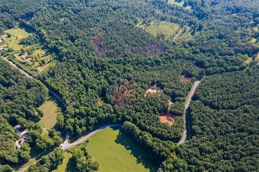 Natural landscape and outdoor views near  in Rockmart (Image 37).