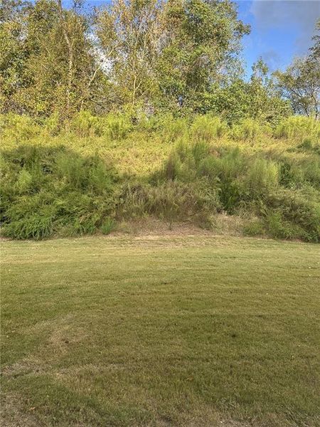 Natural landscape and outdoor views near  in South Fulton (Image 8).
