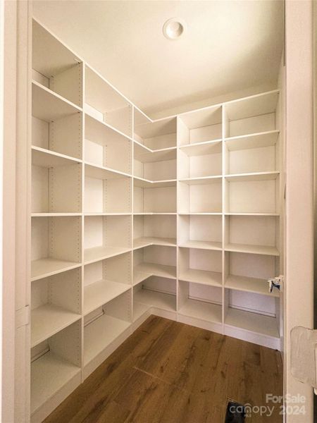 Spacious pantry with custom shelving for tons of storage.