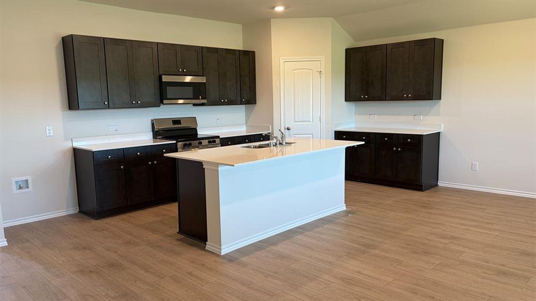 Modern kitchen featuring a central island with an integrated sink, dark wood-finish cabinetry, stainless steel appliances, and light wood-finish flooring