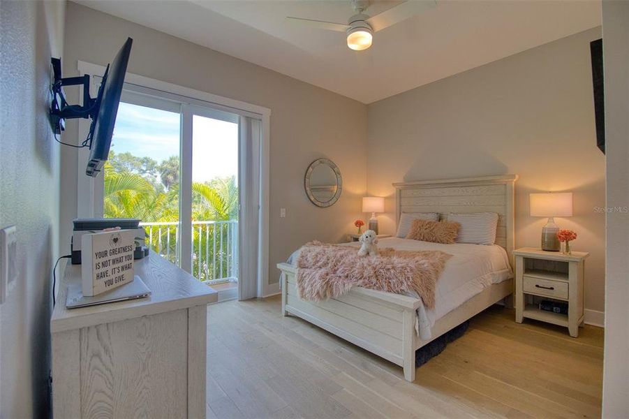 Furnished interior view inside a new home in , Dunedin (Image 11).