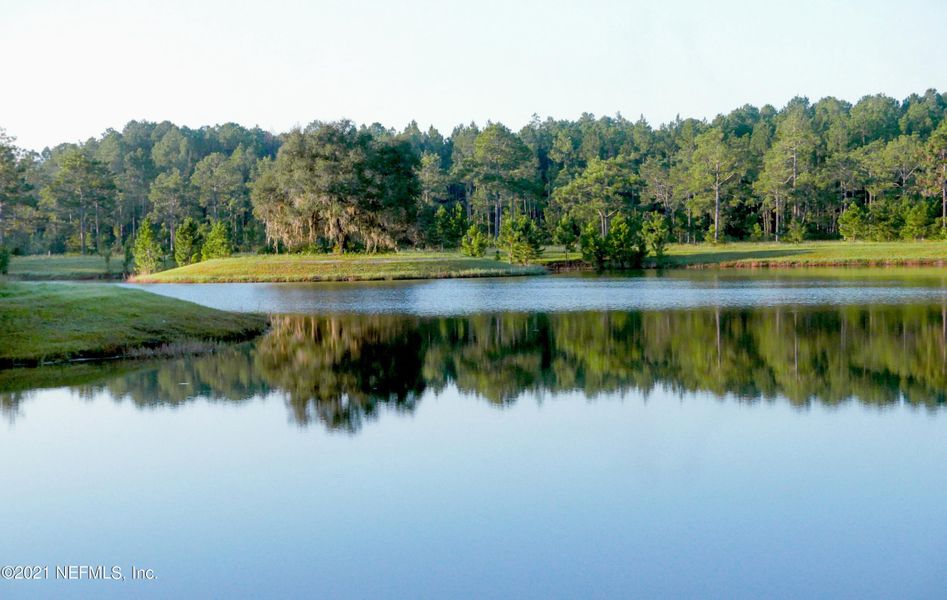Natural landscape and outdoor views near  in St. Augustine (Image 27).