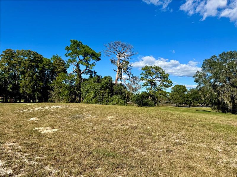 Natural landscape and outdoor views near in Tarpon Springs (Image 13). Natural landscape and outdoor views near in Tarpon Springs (Image 13).