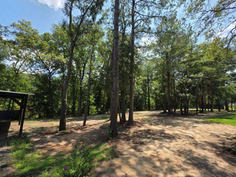 Natural landscape and outdoor views near  in Santee (Image 22).