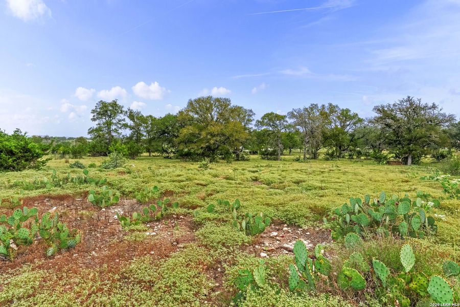 Natural landscape and outdoor views near  in Fredericksburg (Image 11).