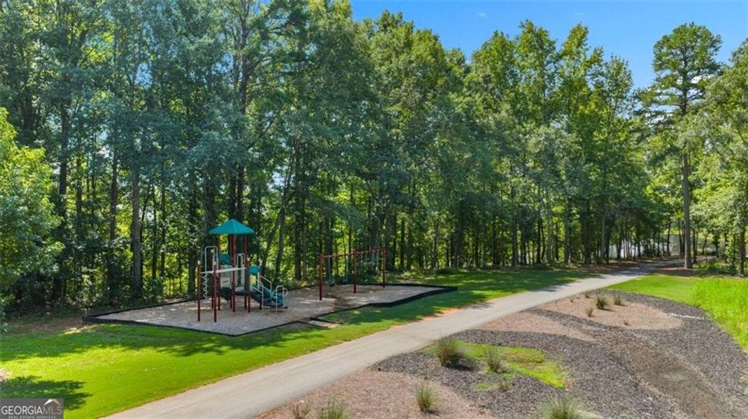 Community amenities in Twin Lakes, Hoschton (Image 20).