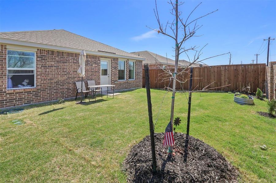 Exterior details and patio area of a home in Mobberly Farms, Pilot Point (Image 4).