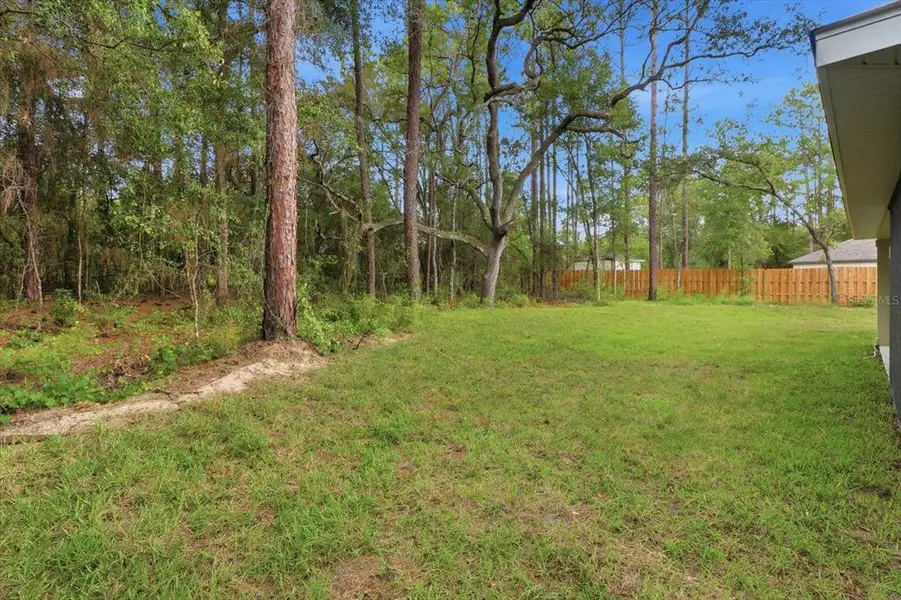 Natural landscape and outdoor views near in Citrus Springs (Image 39). Natural landscape and outdoor views near in Citrus Springs (Image 39).