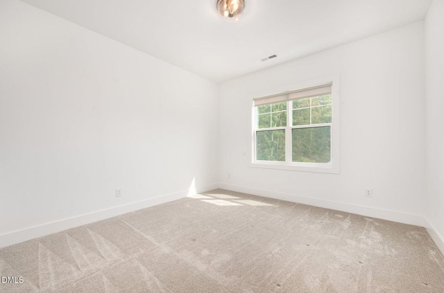 031_dsc_3786-edit_300