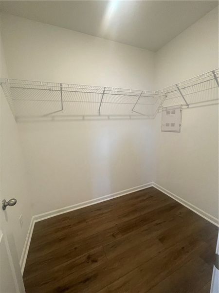 Ample shelving in this spacious storage area with